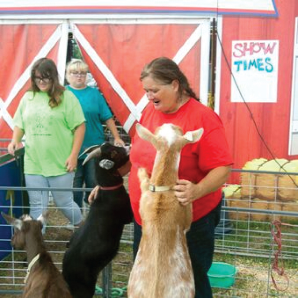 All-Star Animal Revue