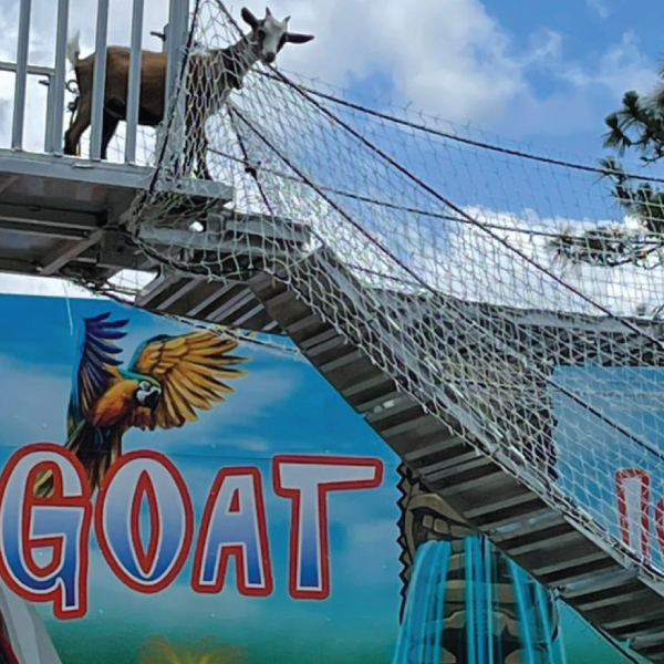 Goat Island